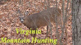 Exciting Mountain Hunt in Virginia            (Public Land)