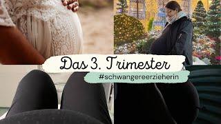 3. Trimester mit Zwillingen! - und dann ist es vorbei... | #schwangereerzieherin | Mamiwölkchen