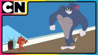 Tom & Jerry | Just Cat & Mouse Things | #tomandjerry | Funny Cartoons | @cnindia