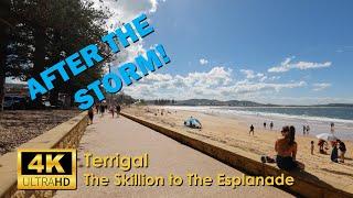 Terrigal | The Skillion to The Esplanade | 4K UHD Video Walk