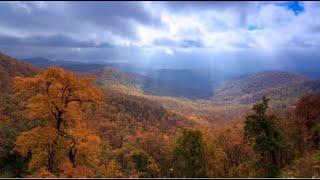 Asheville Is an International Hub for Climate-Science Events