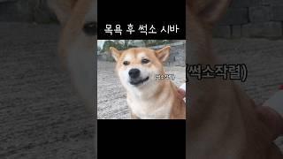 지유개 장르가 느와르인 이유 ㅋㅋㅋㅋ 개무서워