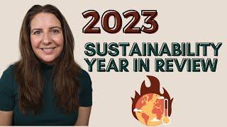 Here's the big things that happened in sustainability in 2023...