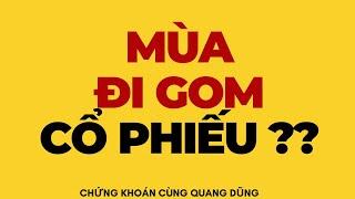 MÙA ĐI GOM CỔ PHIẾU ?? | ĐẦU TƯ CHỨNG KHOÁN