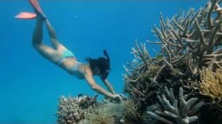 Whitsundays Holiday Travel Video Guide, Queensland Australia