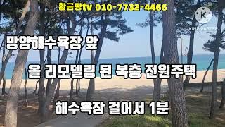 울진바닷가주택 울진 망양해수욕장 앞 올 수리 된 전원주택 해수욕장 도보 1분