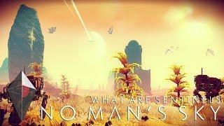 No Man's Sky - What are Sentinels