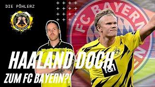  BVB Newsflash | Haaland doch zum FC Bayern!? | Nächster BVB-Abgang fix! 