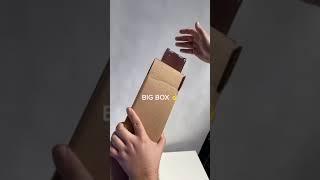 pack a blue ninja set with us 