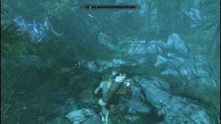 Skyrim does this mean Duo Necromancer