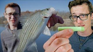 Can you Catch Fish with a Nerf Dart?