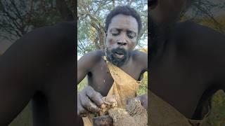 eating time️️️️️#hadzabetribe #bushlife #wildlife #culturalheritage #uniqueexperience #africa