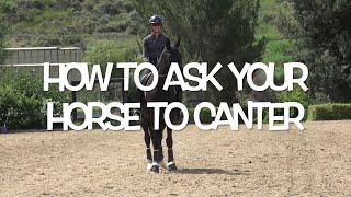 How to ask your horse to canter