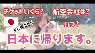 フランス生活・５年ぶり！日本に一時帰国。航空会社、チケット代などについて。