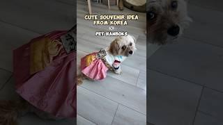 Cute Souvenir Idea from Korea - Pet Hanboks 