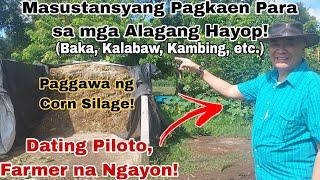 Dating Piloto, Full Time Farmer na! | Paggawa ng Corn Silage sa Farm ni Sir Mark Lotilla