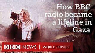 Voices from Gaza: Behind the scenes at the BBC's radio lifeline - BBC World Service