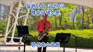 #일편단심 금잔디 #백승근색소폰 Ilpyeon Dansim (Geum Jan-di) K-Trot playing tenor saxophone