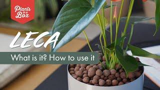 What's LECA? and how to use it!