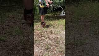 High performance weed wacker! Testing my modified small engine #shorts #tools #engine