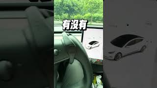 新手必學的特斯拉一鍵自動停車! Tesla特斯拉電動車