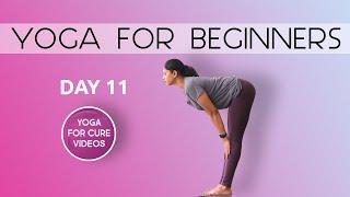 Day 11 Yoga For Beginners | 21 Days of Yoga