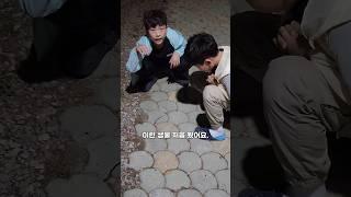 캠핑장은 생물교육의 장 #신기한생물#캠핑장에서만난생물#육지플라나리아#캠핑