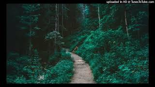 [Free] Black Kray & Xavier Wulf Type Beat "Ice Water N Kush"