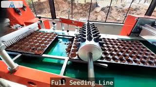 Nursery Full Seeding Line¦ Drum Seeder for Vegetable Nursery. नर्सरी के लिए सिडलिंग मशिन।