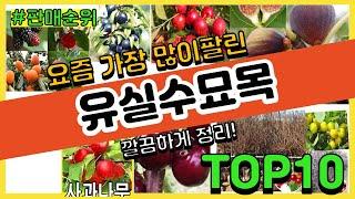 유실수묘목 추천 판매순위 Top10 || 가격 평점 후기 비교