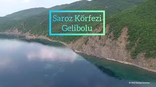 Saroz Körfezi Gelibolu Koyları