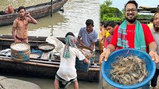 সকাল ৬ টায় তলতলী নদীর জ্যান্ত শলা চিংড়ি কিনে ফেললাম 