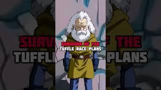 Rare Dragon Ball Episodes