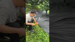 Farmers Don’t Want You to Know This Hack#viralvideo #farming #shorts