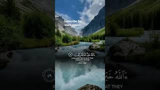 Beautiful Quran Recitation Yassir Al Dossari l#quranrecitation #quran #islamicvideo
