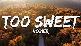 Hozier - Too Sweet (Lyrics)