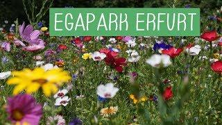 egapark Erfurt in 70 Sekunden