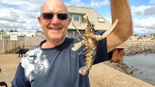 Mike Catches a Lobster Fishing With LRF Gear at Lowestoft Pier