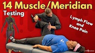 MUSCLE/MERIDIAN TESTING for Knee Pain