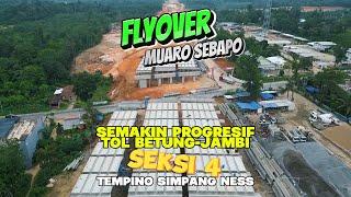 Betung-Jambi Toll Muaro Sebapo Flyover Progress!