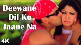 Deewane Dil Ko Jaane Jaa Kahin Aaram Nahin - Salman Khan, Shilpa Shetty | Sonu Nigam, Alka Yagnik