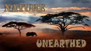 Nature Unearthed - An Exciting New Nature Series Coming Soon to QVTV