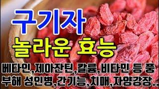 [구기자 효능] "구기자: 자연의 강력한 치유력과 영양의 보물"