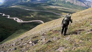 Alaskan Dall Sheep Hunting | With Wildwood Off-Grid Alaska