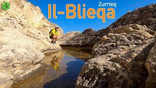 Il-Blieqa Zurrieq Malta