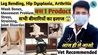 Leg Bending, Hip Dysplasia, Arthritis Etc. || सभी का इलाज  सिर्फ एक Medicine/Supplements || #dogs