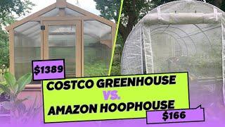 Costco Greenhouse vs Amazon Hoop House: Which is Better?