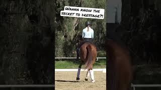 Dressage Basics- The Dressage Training Scale!!