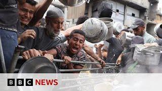 The human impact of the war in Gaza | BBC News