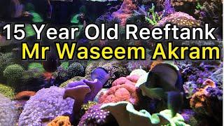 15 year old OG REEFTANK - Incredible OLD SCHOOL REEFER Mr Waseem Akram